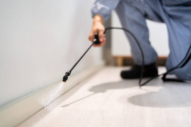 Licensed Cockroach Control service in Concord, VA - Nex Pest Control