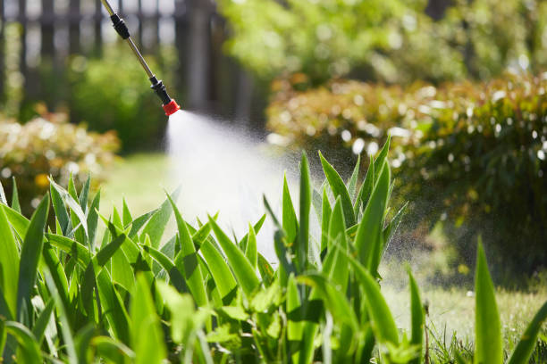 24/7 Emergency Cockroach Control experts in Concord, VA
