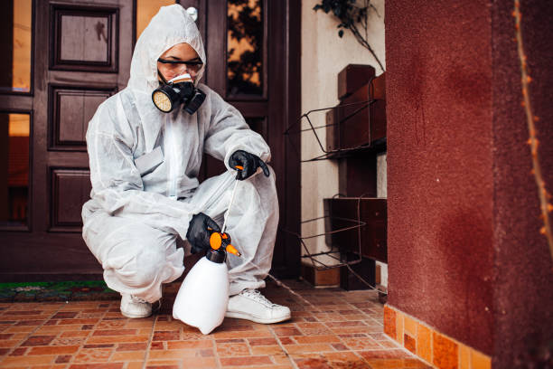 Reliable Cockroach Control contractor in Concord, VA by Nex Pest Control