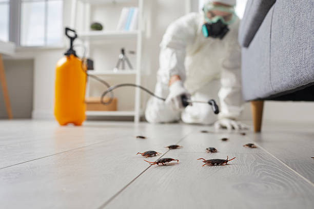 Affordable Cockroach Control solutions in Concord, VA